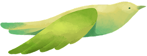 bird3